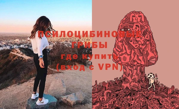 стаф Балахна