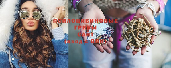 стаф Балахна